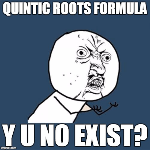 Y U No Meme | QUINTIC ROOTS FORMULA; Y U NO EXIST? | image tagged in memes,y u no | made w/ Imgflip meme maker