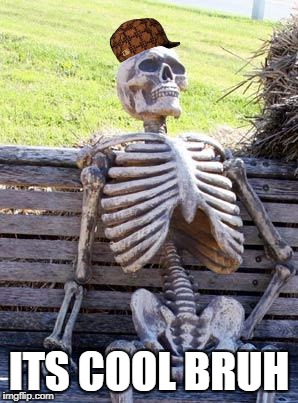 Waiting Skeleton Meme | ITS COOL BRUH | image tagged in memes,waiting skeleton,scumbag | made w/ Imgflip meme maker