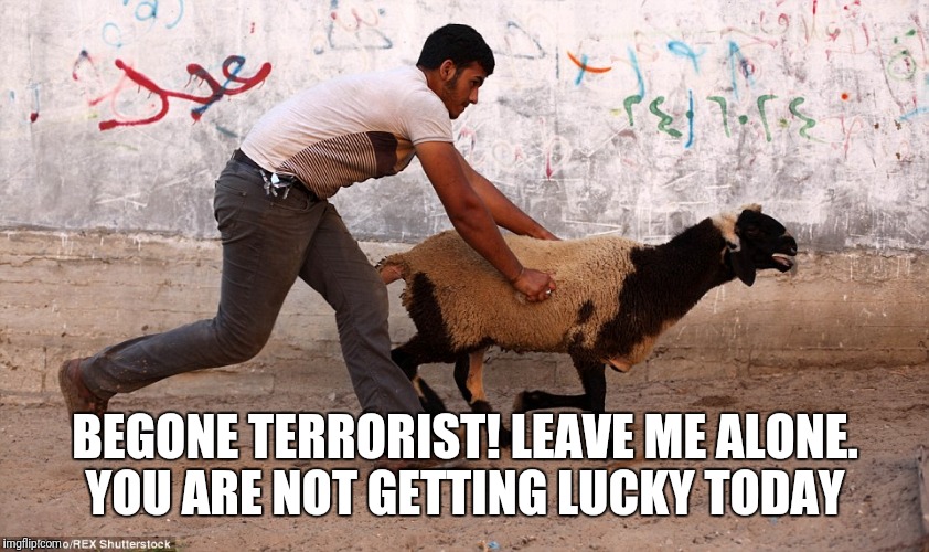 BEGONE TERRORIST! LEAVE ME ALONE. YOU ARE NOT GETTING LUCKY TODAY | image tagged in terrorist | made w/ Imgflip meme maker