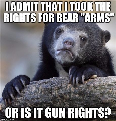 Confession Bear Meme | I ADMIT THAT I TOOK THE RIGHTS FOR BEAR "ARMS"; OR IS IT GUN RIGHTS? | image tagged in memes,confession bear | made w/ Imgflip meme maker
