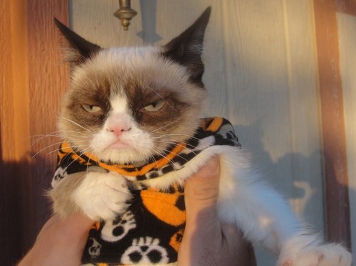 Grumpy cat Halloween Blank Meme Template