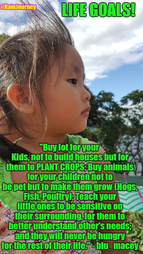 Life Lesson from Rain |  #RainJourney; LIFE GOALS! "Buy lot for your Kids, not to build houses but for them to PLANT CROPS; Buy animals for your children not to be pet but to make them grow (Hogs, Fish, Poultry); Teach your little ones to be sensitive on their surrounding, for them to better understand other's needs; and they will never be hungry for the rest of their life." - blu_macey | image tagged in life goals,motivation,real life | made w/ Imgflip meme maker