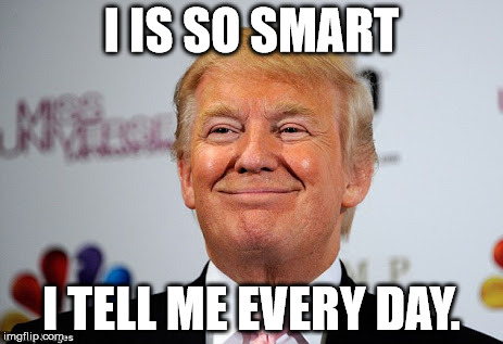 Donald trump approves | I IS SO SMART; I TELL ME EVERY DAY. | image tagged in donald trump approves | made w/ Imgflip meme maker