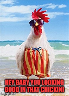 HEY BABY YOU LOOKING GOOD IN THAT CHICKINI | made w/ Imgflip meme maker