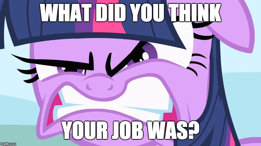 ANGRY Twilight | WHAT DID YOU THINK YOUR JOB WAS? | image tagged in angry twilight | made w/ Imgflip meme maker