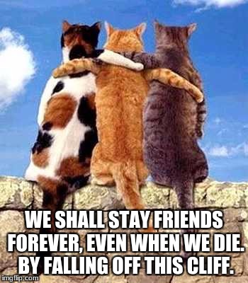 Cat friends | WE SHALL STAY FRIENDS FOREVER, EVEN WHEN WE DIE. BY FALLING OFF THIS CLIFF. | image tagged in cat friends | made w/ Imgflip meme maker