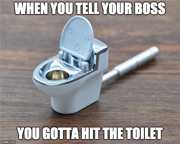 Toilet bowl bowl | WHEN YOU TELL YOUR BOSS; YOU GOTTA HIT THE TOILET | image tagged in toilet humor,weed | made w/ Imgflip meme maker