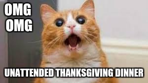 OMG OMG; UNATTENDED THANKSGIVING DINNER | image tagged in hungry,cat | made w/ Imgflip meme maker