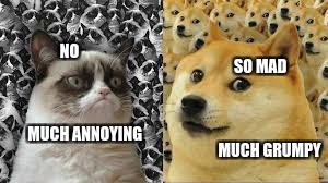 SO MAD                                       MUCH GRUMPY; NO                                                 MUCH ANNOYING | image tagged in doge,epic,grumpy cat | made w/ Imgflip meme maker