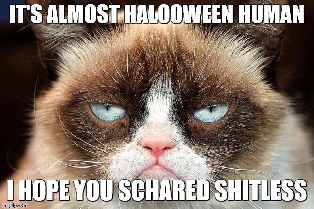 Grumpy Cat Not Amused | IT'S ALMOST HALOOWEEN HUMAN; I HOPE YOU SCHARED SHITLESS | image tagged in memes,grumpy cat not amused,grumpy cat | made w/ Imgflip meme maker