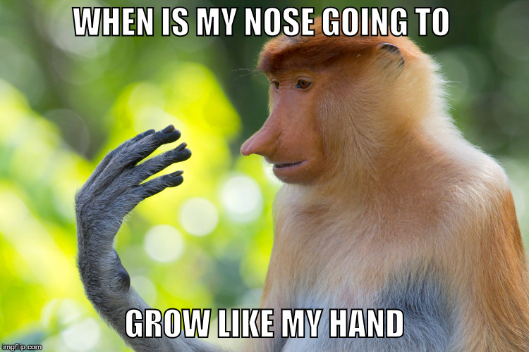 WHEN IS MY NOSE GOING TO GROW LIKE MY HAND | made w/ Imgflip meme maker