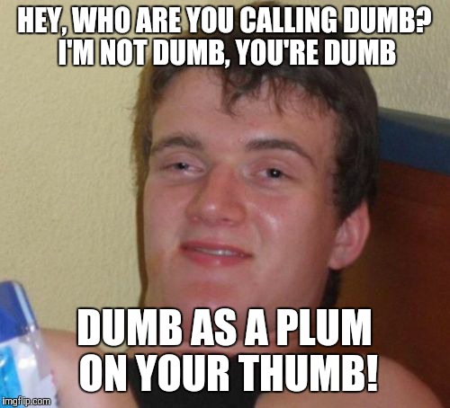 Little Jack Horner must be quaking right now.  (Hopefully, I used the correct terminology.) | HEY, WHO ARE YOU CALLING DUMB? I'M NOT DUMB, YOU'RE DUMB; DUMB AS A PLUM ON YOUR THUMB! | image tagged in memes,10 guy,insult,rhymes,savage,no chill | made w/ Imgflip meme maker