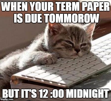 tired cat |  WHEN YOUR TERM PAPER IS DUE TOMMOROW; BUT IT'S 12 :00 MIDNIGHT | image tagged in tired cat | made w/ Imgflip meme maker