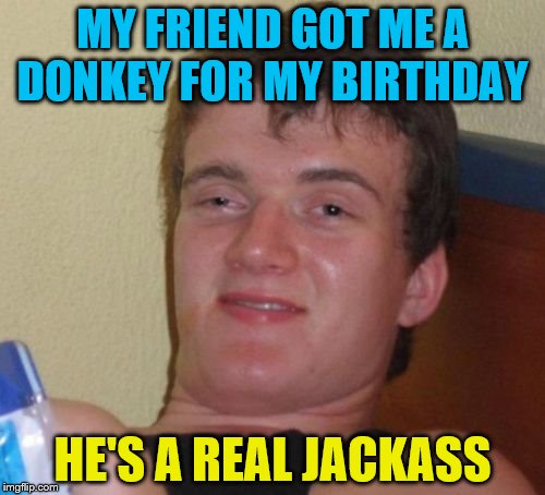 10 Guy Meme | MY FRIEND GOT ME A DONKEY FOR MY BIRTHDAY; HE'S A REAL JACKASS | image tagged in memes,10 guy,donkey,jackass,birthday | made w/ Imgflip meme maker
