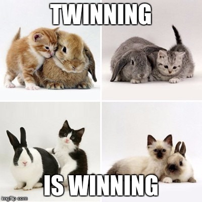 TWINNING; IS WINNING | image tagged in twinning | made w/ Imgflip meme maker