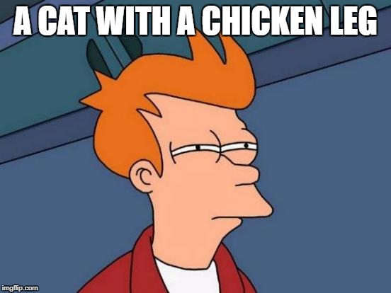 Futurama Fry Meme | A CAT WITH A CHICKEN LEG | image tagged in memes,futurama fry | made w/ Imgflip meme maker