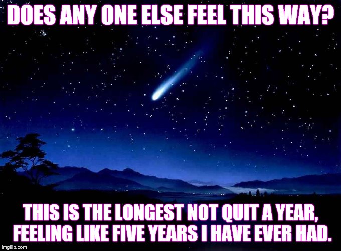 Shooting Star | DOES ANY ONE ELSE FEEL THIS WAY? THIS IS THE LONGEST NOT QUIT A YEAR, FEELING LIKE FIVE YEARS I HAVE EVER HAD. | image tagged in shooting star | made w/ Imgflip meme maker