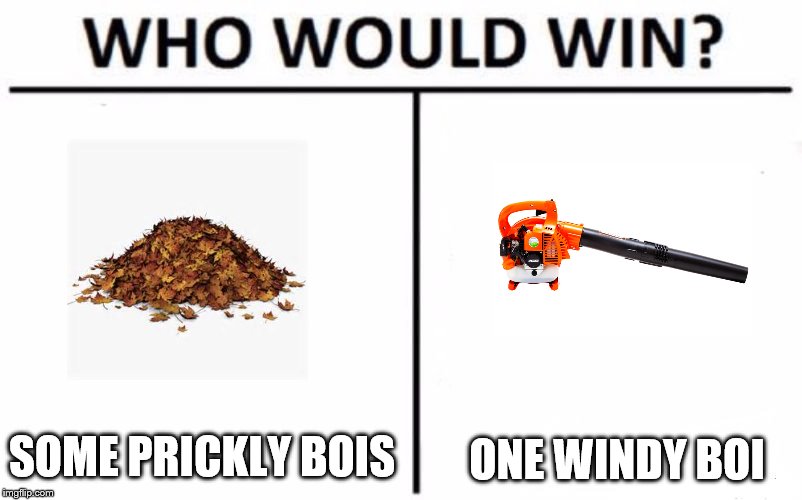 Who Would Win? | ONE WINDY BOI; SOME PRICKLY BOIS | image tagged in who would win | made w/ Imgflip meme maker