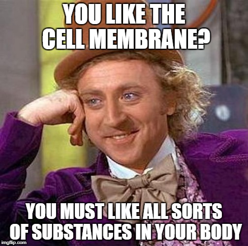 Creepy Condescending Wonka | YOU LIKE THE CELL MEMBRANE? YOU MUST LIKE ALL SORTS OF SUBSTANCES IN YOUR BODY | image tagged in memes,creepy condescending wonka | made w/ Imgflip meme maker