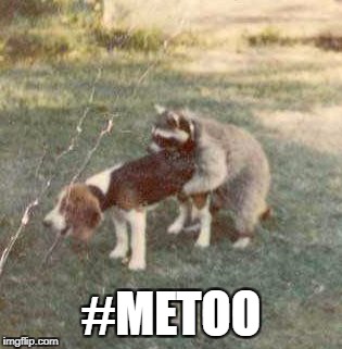 #METOO | image tagged in metoo | made w/ Imgflip meme maker