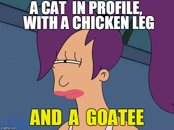 A CAT  IN PROFILE, AND  A  GOATEE WITH A CHICKEN LEG | made w/ Imgflip meme maker