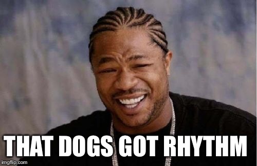 Yo Dawg Heard You Meme | THAT DOGS GOT RHYTHM | image tagged in memes,yo dawg heard you | made w/ Imgflip meme maker