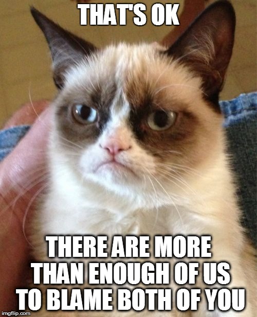 Grumpy Cat Meme | THAT'S OK THERE ARE MORE THAN ENOUGH OF US TO BLAME BOTH OF YOU | image tagged in memes,grumpy cat | made w/ Imgflip meme maker
