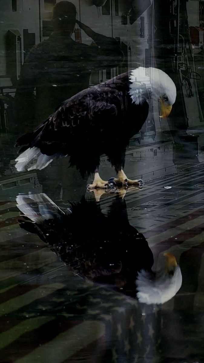 Introspective eagle Blank Meme Template