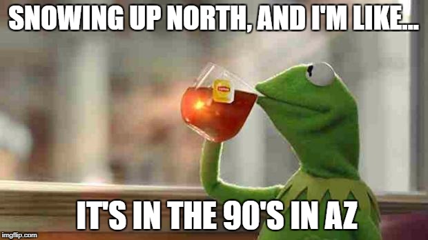 Kermit sipping tea | SNOWING UP NORTH, AND I'M LIKE... IT'S IN THE 90'S IN AZ | image tagged in kermit sipping tea | made w/ Imgflip meme maker