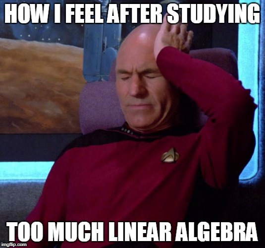 Picard Headache | HOW I FEEL AFTER STUDYING; TOO MUCH LINEAR ALGEBRA | image tagged in picard headache | made w/ Imgflip meme maker