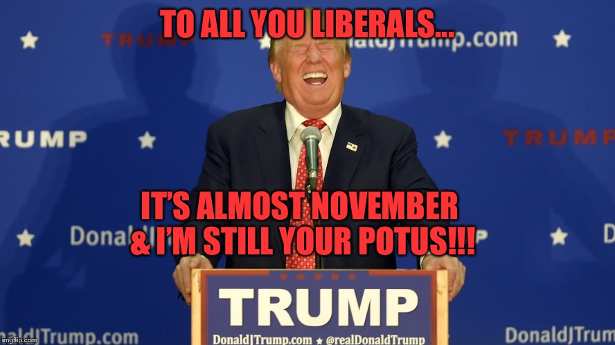 TO ALL YOU LIBERALS... IT’S ALMOST NOVEMBER & I’M STILL YOUR POTUS!!! | image tagged in trumps liberals | made w/ Imgflip meme maker