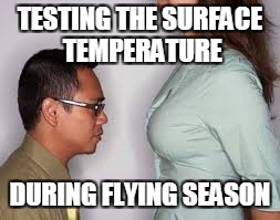 TESTING THE SURFACE TEMPERATURE DURING FLYING SEASON | made w/ Imgflip meme maker