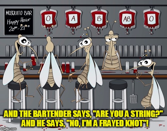 AND THE BARTENDER SAYS, "ARE YOU A STRING?"  AND HE SAYS, "NO, I'M A FRAYED KNOT"! | made w/ Imgflip meme maker
