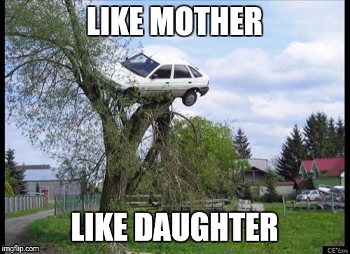 Secure Parking Meme | LIKE MOTHER; LIKE DAUGHTER | image tagged in memes,secure parking | made w/ Imgflip meme maker