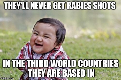 Evil Toddler Meme | THEY’LL NEVER GET RABIES SHOTS IN THE THIRD WORLD COUNTRIES THEY ARE BASED IN | image tagged in memes,evil toddler | made w/ Imgflip meme maker
