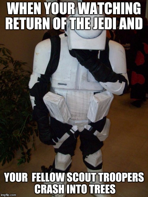 Storm trooper facepalm | WHEN YOUR WATCHING RETURN OF THE JEDI AND; YOUR  FELLOW SCOUT TROOPERS CRASH INTO TREES | image tagged in storm trooper facepalm | made w/ Imgflip meme maker