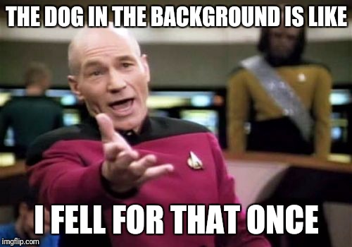 Picard Wtf Meme | THE DOG IN THE BACKGROUND IS LIKE I FELL FOR THAT ONCE | image tagged in memes,picard wtf | made w/ Imgflip meme maker