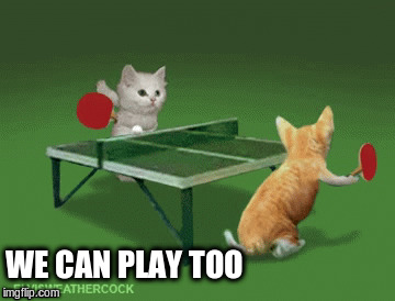 WE CAN PLAY TOO | made w/ Imgflip meme maker