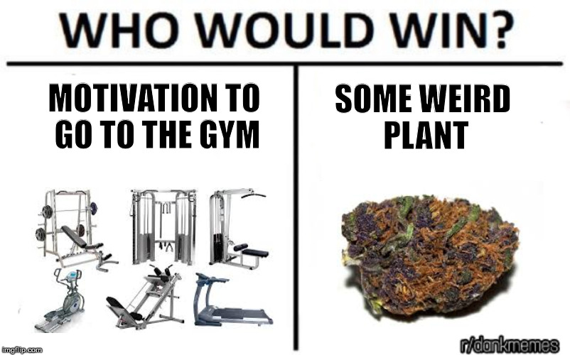 who would win | SOME WEIRD PLANT; MOTIVATION TO GO TO THE GYM | image tagged in who would win | made w/ Imgflip meme maker