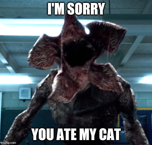 I'M SORRY; YOU ATE MY CAT | image tagged in stranger things | made w/ Imgflip meme maker