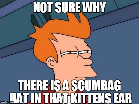Futurama Fry Meme | NOT SURE WHY THERE IS A SCUMBAG HAT IN THAT KITTENS EAR | image tagged in memes,futurama fry | made w/ Imgflip meme maker