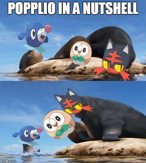 I know no one hates that popplio that much anymore, but this meme needed to be made | POPPLIO IN A NUTSHELL | image tagged in pokemon sun and moon,in a nutshell | made w/ Imgflip meme maker