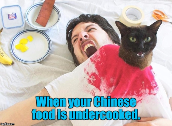 This is what happens when you don't cook your food at the right temperature. Halloween is almost here.  | When your Chinese food is undercooked. | image tagged in funny,chinese food,cat,busting loose,halloween | made w/ Imgflip meme maker