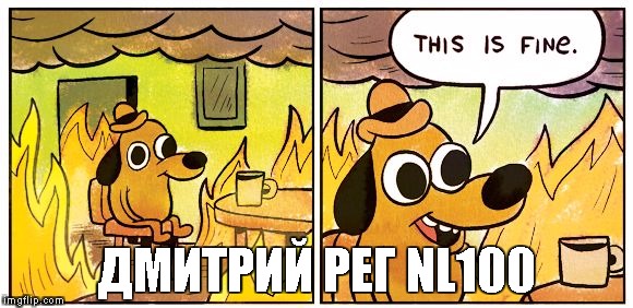 This Is Fine Meme | ДМИТРИЙ РЕГ NL100 | image tagged in this is fine dog | made w/ Imgflip meme maker