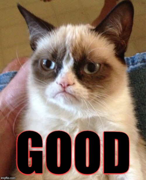 Grumpy Cat Meme | GOOD | image tagged in memes,grumpy cat | made w/ Imgflip meme maker