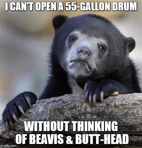 Confession Bear Meme | I CAN'T OPEN A 55-GALLON DRUM WITHOUT THINKING OF BEAVIS & BUTT-HEAD | image tagged in memes,confession bear | made w/ Imgflip meme maker