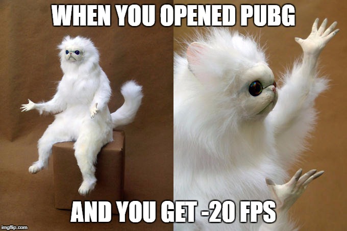 Persian Cat Room Guardian | WHEN YOU OPENED PUBG; AND YOU GET -20 FPS | image tagged in memes,persian cat room guardian | made w/ Imgflip meme maker
