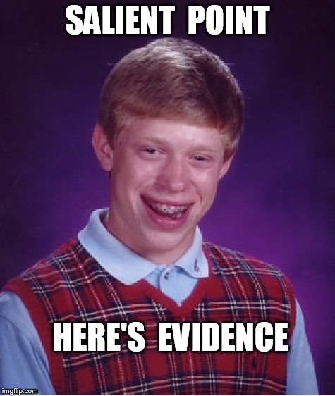 Bad Luck Brian Meme | SALIENT  POINT HERE'S  EVIDENCE | image tagged in memes,bad luck brian | made w/ Imgflip meme maker