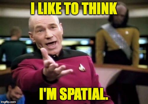 It's Individuality Month and Go With the Flow Week.  So I'm trying to get it together but it's tearing me apart! | I LIKE TO THINK; I'M SPATIAL. | image tagged in memes,picard wtf,individuality | made w/ Imgflip meme maker