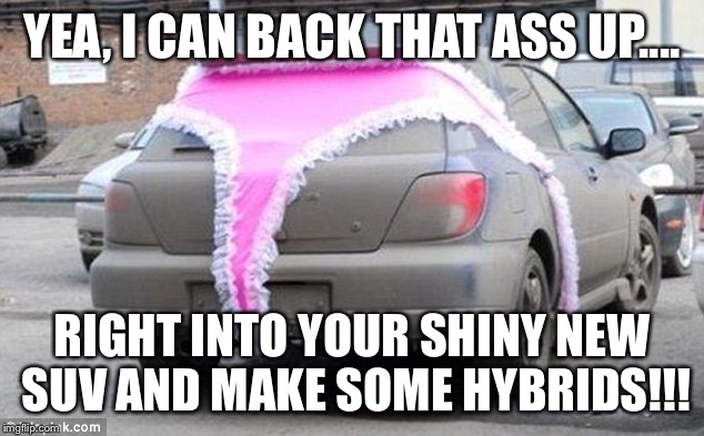 thong | YEA, I CAN BACK THAT ASS UP.... RIGHT INTO YOUR SHINY NEW SUV AND MAKE SOME HYBRIDS!!! | image tagged in thong | made w/ Imgflip meme maker